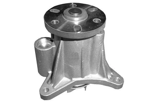 DOLZ C139 POMPE A EAU