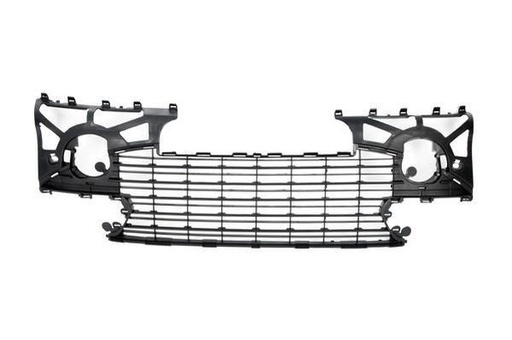 BLIC 6502-07-5514996P GRILLE PARE-PIERRES